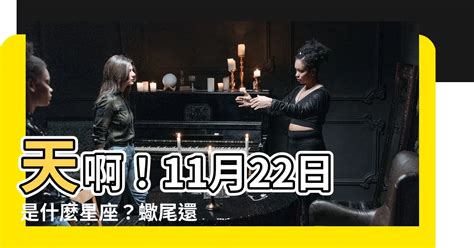 11月22日什麼星座|【11/22星座】11/22星座：揭秘生日星座與精油的完美邂逅！